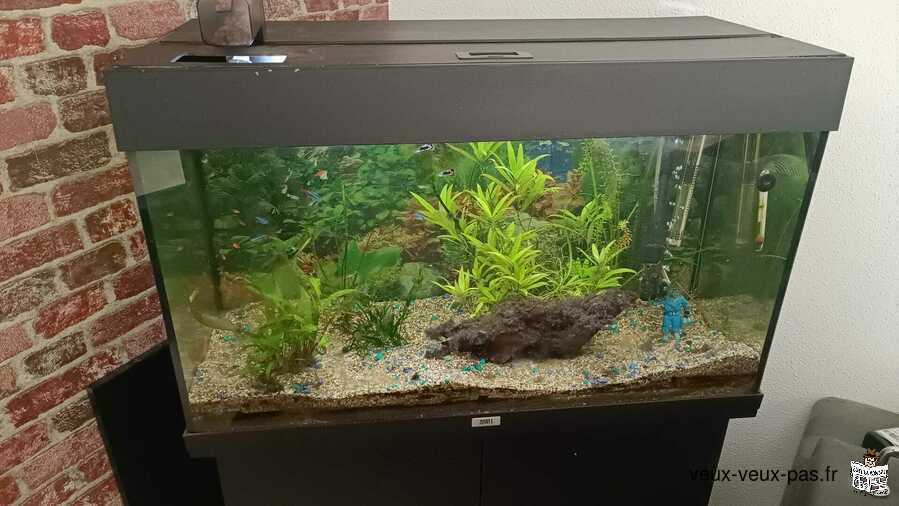 vend aquarium sur son meuble juwel125 complet