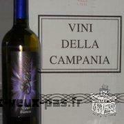 Vins italiens- lot