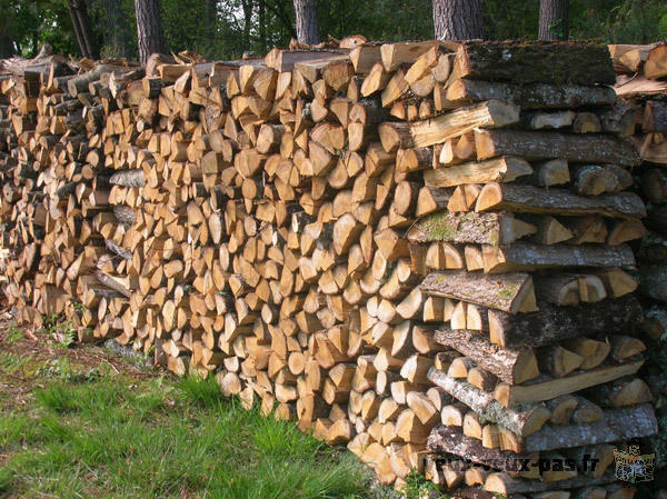 BOIS DE CHAUFFAGE BIEN SEC POUR L'HIVER