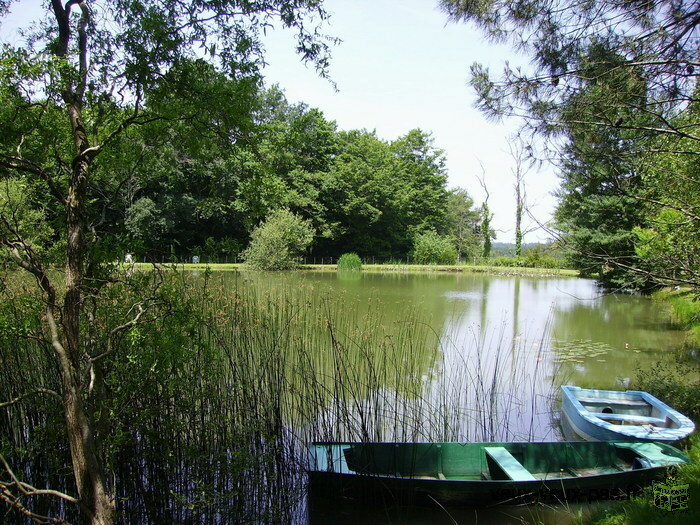 Vacances, séjour en DORDOGNE ( BERGERAC en PERIGORD)