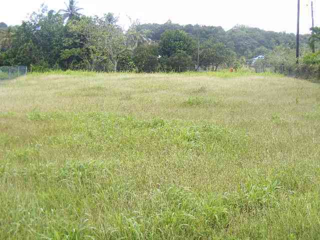 Beautiful flat rectangular land serviced 1000m