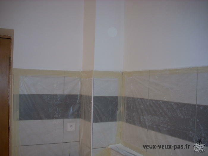 Travaux de peinture et de renovation CESU accepte. Artisan disponible de suite.