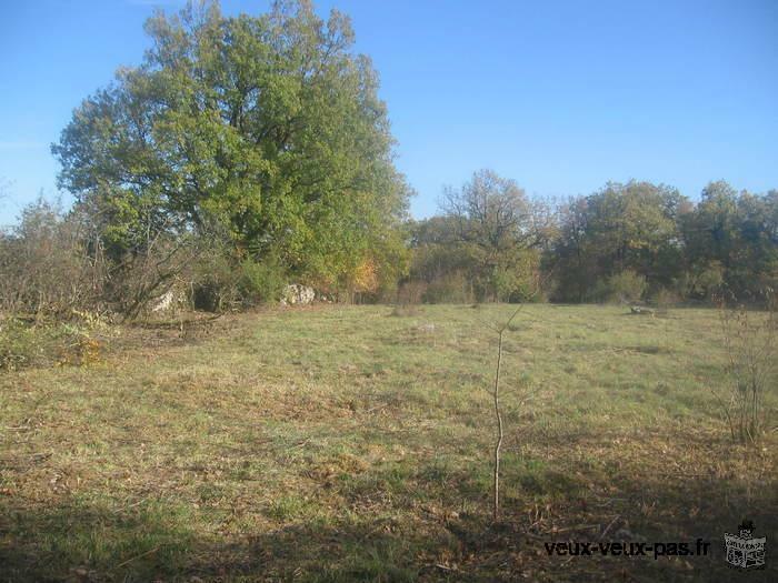 MAGNIFIQUE TERRAIN Constructible de 4750m2 à CORN ( LOT )