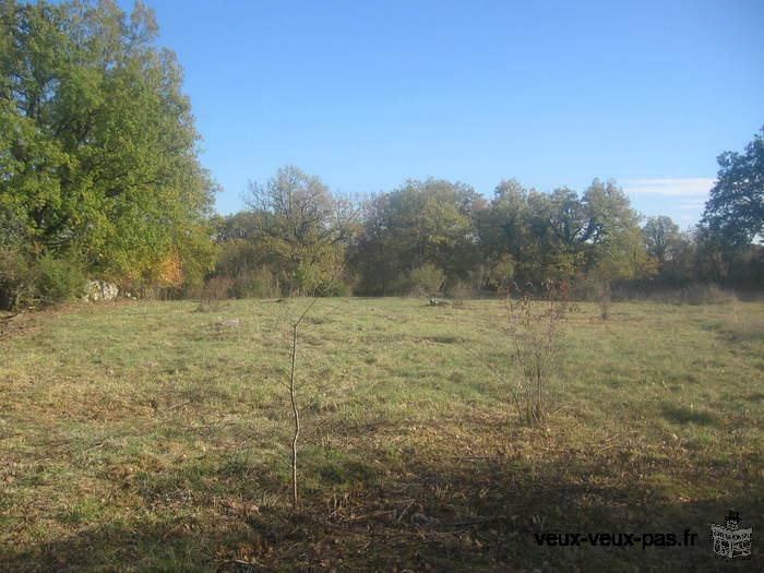 MAGNIFIQUE TERRAIN Constructible de 4750m2 à CORN ( LOT )