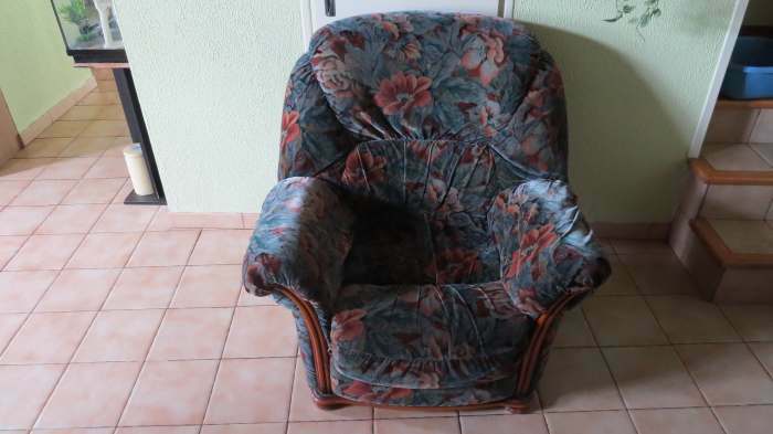 2 fauteuil en velours