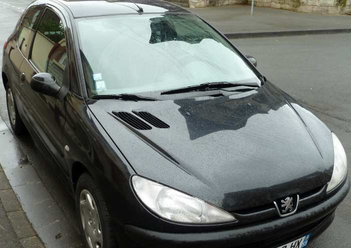 peugeot 206 2.0 HDI 90 eco xline 3 portes