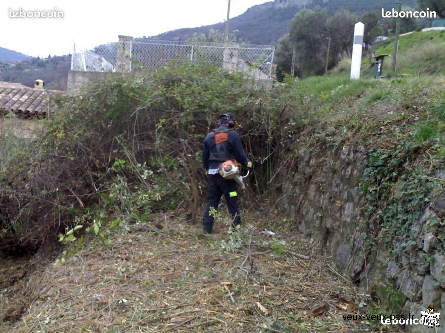 Débroussaillage difficile terrain friche Orties étang pâture basse cour roncier chardon