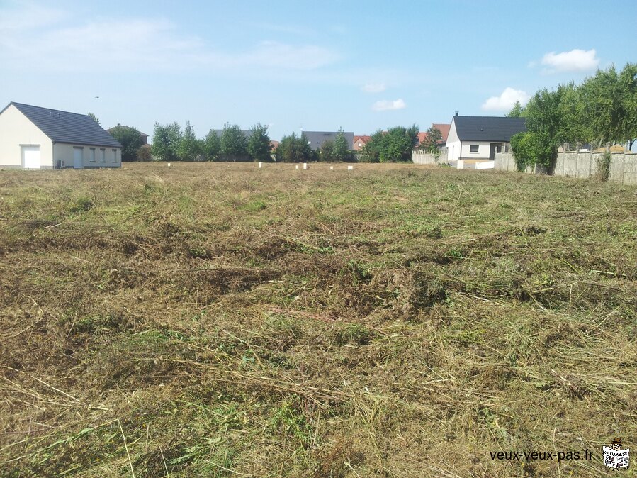 Débroussaillage difficile terrain friche Orties étang pâture basse cour roncier chardon