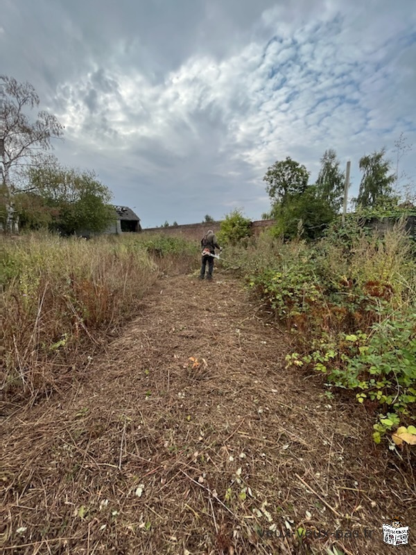 Débroussaillage difficile terrain friche Orties étang pâture basse cour roncier chardon