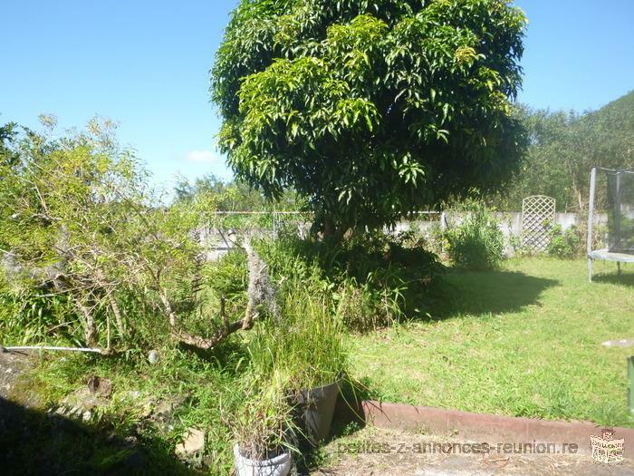 Location saisonniére au pays du curcuma