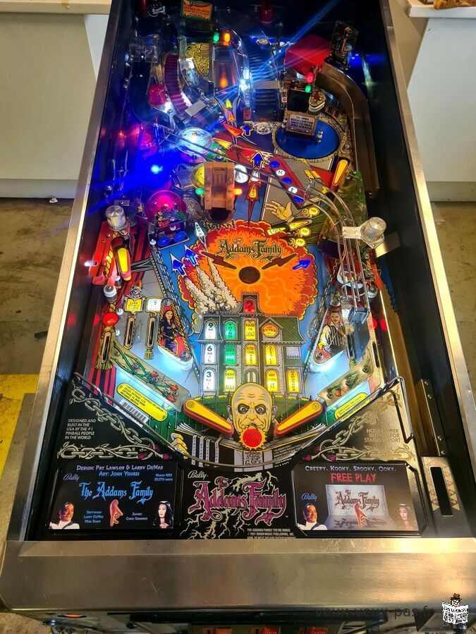 Flipper Bally Addams Family Full LED Inserts