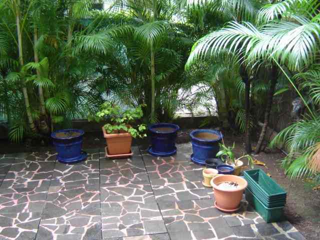 POTS POUR PLANTES VERTES