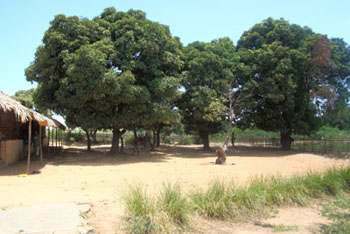 Terrain à Amborovy Majunga