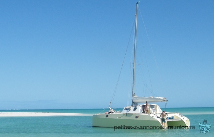 Catamaran 36'