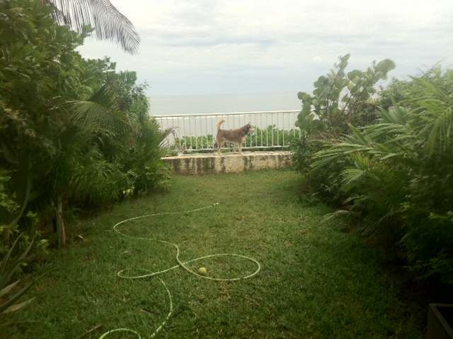 loue appartement pied dans l eau meuble saisonnier