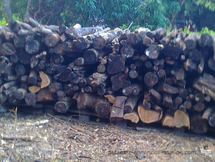 Bois de chauffage ou cuisine de letchis ou longanille