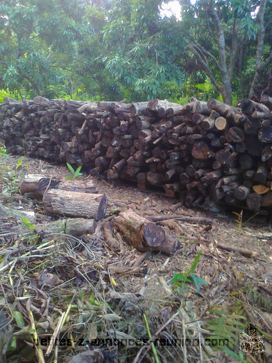 Bois de chauffage ou cuisine de letchis ou longanille