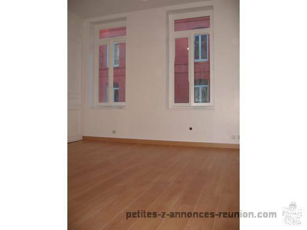 Tres bel appartement a louer sur st denis a 400€