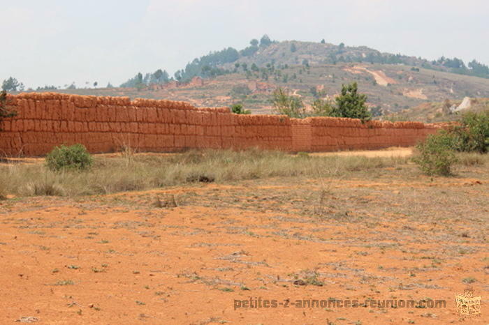 TRES BEAU TERRAIN A AMBATOFOTSY MA DAGASCAR