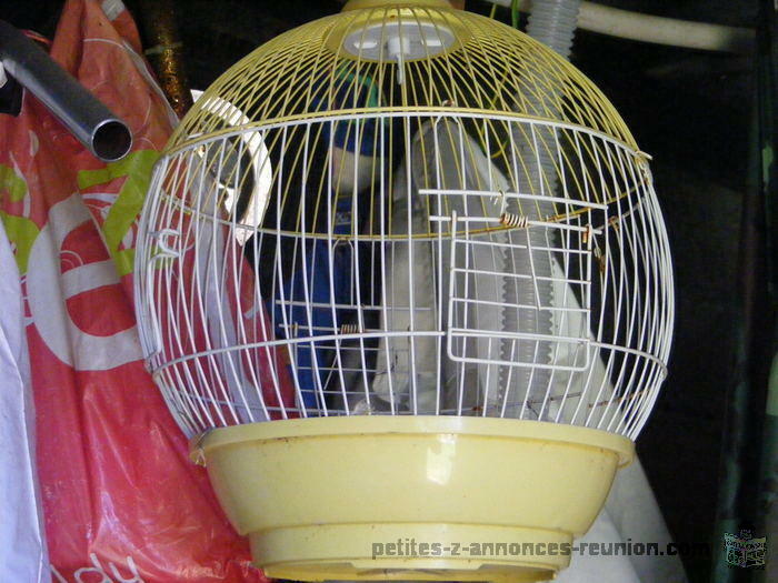 LOT CAGE POUR OISEAUX