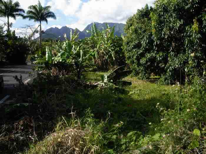 Terrain de 450 m2 Entre-Deux REUNION