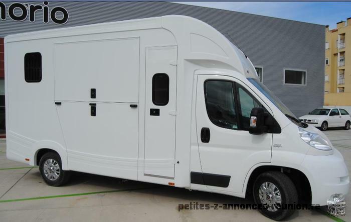 Camion VL cheveaux Fiat Ducato