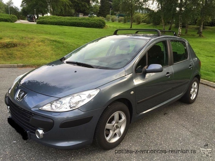 Peugeot 307 1.6 HDI 90 CV