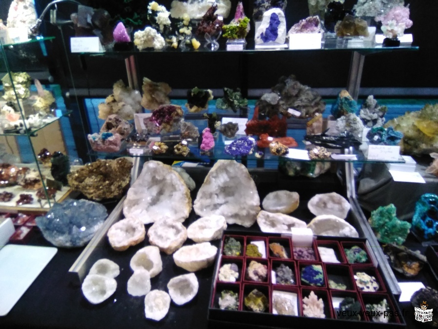 Exchange its 22h exhibition of minerals, jewels, gems and fossils