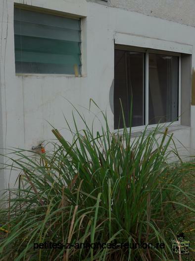 STudio à louer en rez de jardin au calme à Bellemene