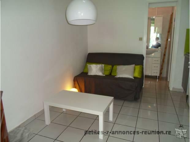 Studio 27 m2 Ermitage Les Bains près du lagon