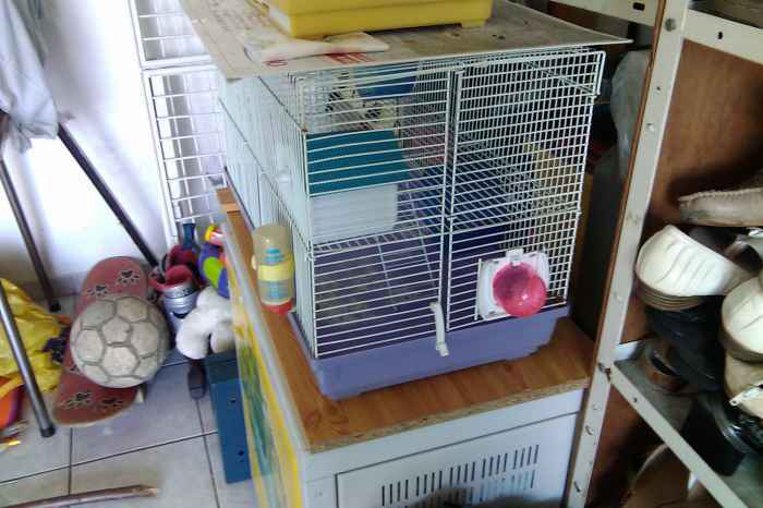 vends cage hamster.